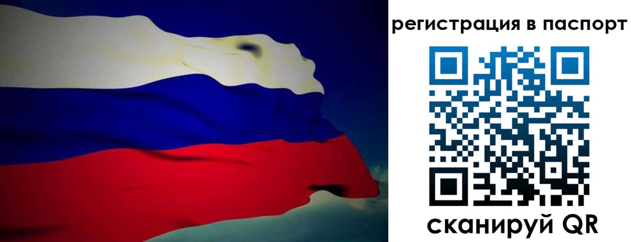 прописка законно в Николаевске